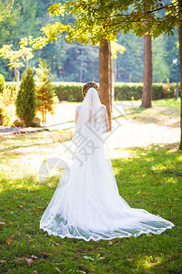爱婚礼花朵穿着漂亮的裙子新娘站在她背向自然的怀着美丽衣服站在她身后与自然的美丽婚纱图片