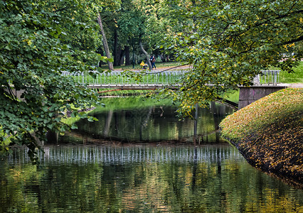 环境落下户外A平静的河流横跨和秋树的桥梁图片