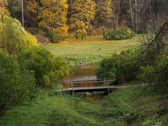 走沿河和秋季森林的木桥背景情况丰富多彩的冷静图片