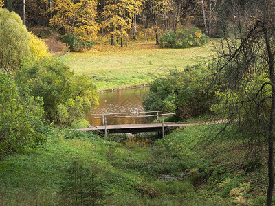 横跨河流的秋季森林和木桥溪流绿色娱乐图片