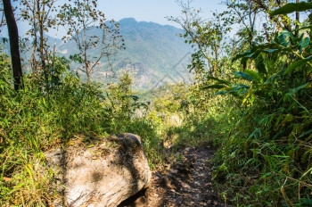 岩石灰色的木头泰国清迈DoiLuang清道山地貌泰国清迈图片