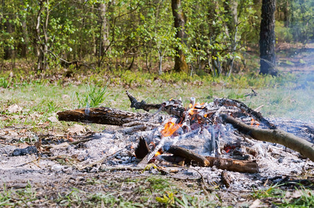 篝火黑暗的营燃烧木头残骸森林中燃烧的火森林中燃烧的火木头残骸图片