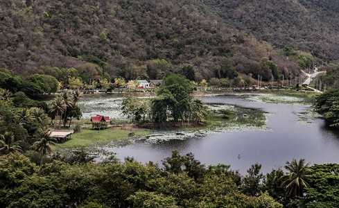 自然美丽的场景沼泽湖空中风景在密绿林中峡谷焦点和模糊图片