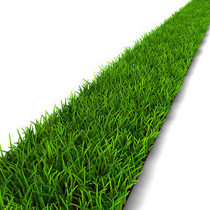 夏天以白色背景孤立的绿草3D图示说明植物途径图片