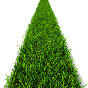 花园以白色背景孤立的绿草3D图示说明土壤景观图片