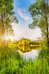 清晨阳光在春林中平静的池塘清晨阳光在池塘中天空场地美丽的图片