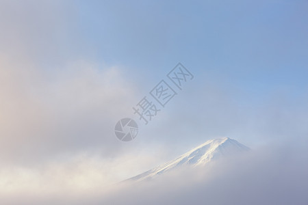 美丽的树日本藤山里程碑日落图片