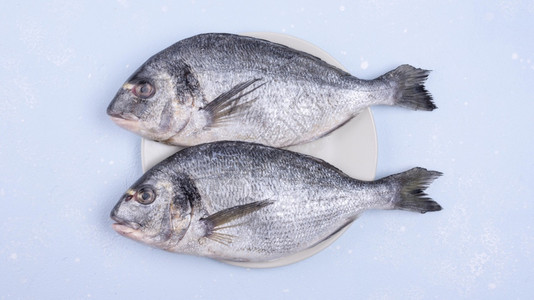 鲤鱼厨房鳍新鲜未经煮熟的海鱼图片素材