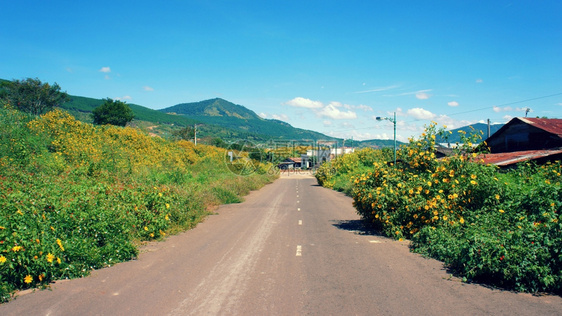 纬度屋越南乡村的Dalat是旅游城市有着美景丽的村庄野花和绿Dalat位于越南首都Talat树图片