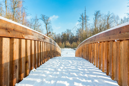 木制的覆盖冬季森林地貌的木桥上雪环境图片