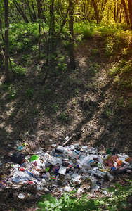 肮脏的绿色投掷森林中的一堆垃圾人类污染环境的全球问题概念形象和空间复制版面俄罗斯选择焦点RussiciveFocus图片