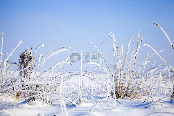 晴天美丽的冬季风景与道路和其他植物的美丽冬季景观天下雪的有冬季降阳光明媚的天气美丽冬季景象以及美丽的冬季景色颜磨砂图片