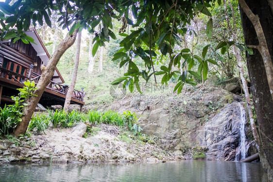 溅流动的小瀑布进一个平静的水池鱼群照片风景图片