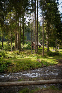 旅游孤独森林中的木屋小溪木屋的天然材料制造木屋遗产图片