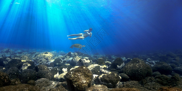 光束射线感的游泳女孩和海龟在礁石上闪耀着光芒图片