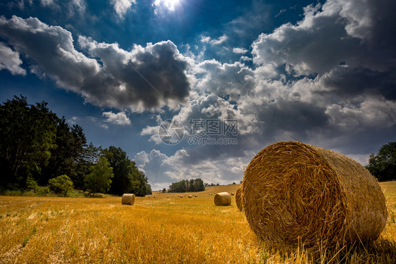 小麦在波西米亚中部带草篮的收获田土地干草图片