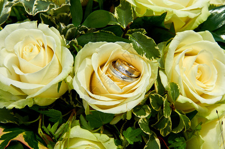 首饰结婚带有玫瑰和戒指的婚礼花束装饰风格图片