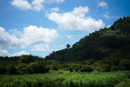 绿色山丘蓝天空和云明亮的白色图片