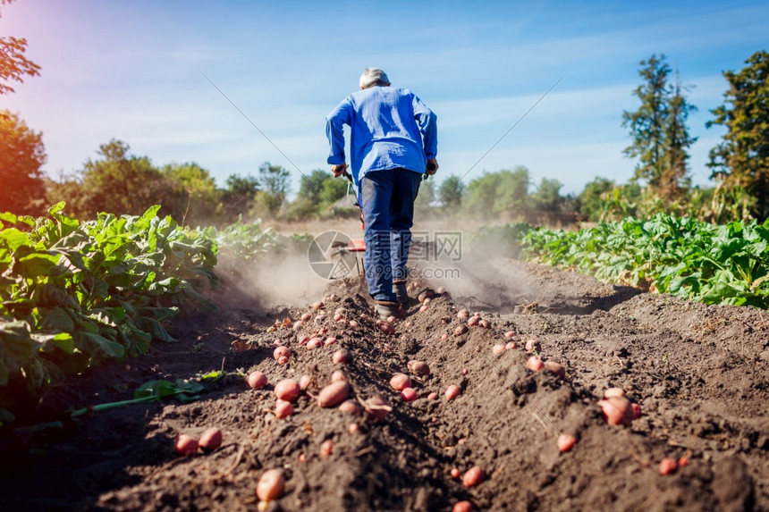 耕作的作物规划怎么写