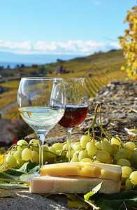 瑞士拉沃克斯地区葡萄园露台两杯酒奶酪和瑞士农田阳台生活图片
