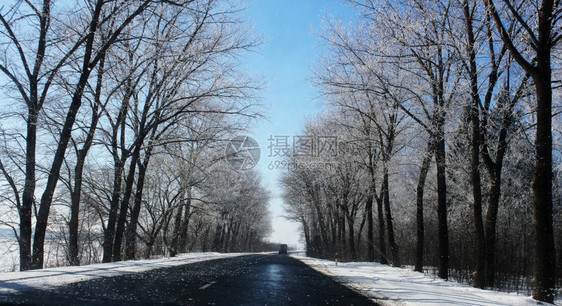 景观霜风优美丽的冬季风貌包括沥青路森林和蓝天空美丽的冬季风景包括沥青路森林和蓝天空图片
