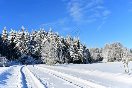 冬季雪景风光图片