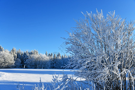 冬季雪景风光图片