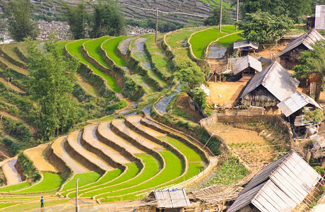 旅游场地越南萨帕的稻田梯和Hmong少数民族村山图片