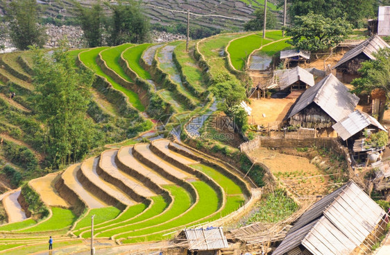 旅游场地越南萨帕的稻田梯和Hmong少数民族村山图片