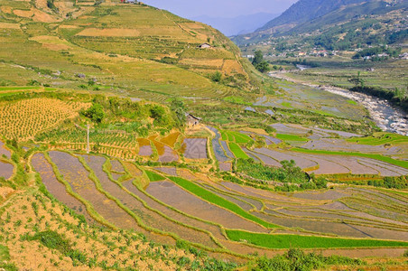 生长越南Sapa水稻梯田的山景爬坡道户外图片