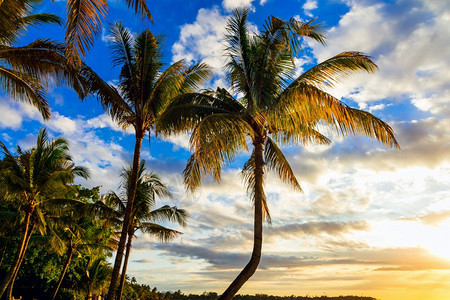 热带日落毛里求斯岛Trouauxbiches海滩景观特鲁画报图片
