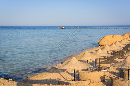 热带沿海城市风景图片