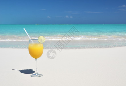 沙漠巴哈马大Exuma海滩上的橙汁子伟大图片
