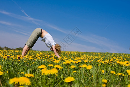 美丽的天空手年轻女子在花朵草地上做瑜伽图片