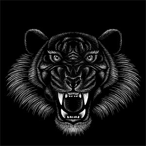 野生动物雕刻摩托车用于纹身或T恤设计外套的矢量标志老虎黑色背景上的狩猎风格大猫印花此手绘适用于黑色织物或帆布用于纹身或恤设计外套图片