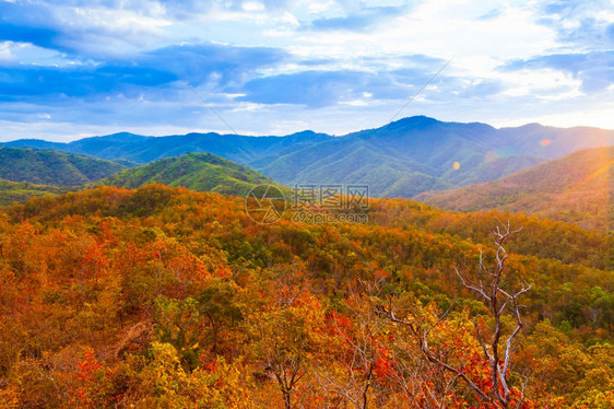 人们秋天丰富多彩的日落时秋山景色特定季节的多彩森林假期度旅游概念Soft注重森林图片