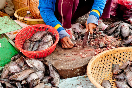 费舍尔在柬埔寨暹粒传统亚产海食品市场出售鱼柬埔寨暹粒传统的工作图片