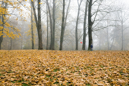 好的10月中秋风时一名迷雾的晨间男孩带着一个气球行走在新的公园里上面盖着黄叶和橙色子伤心美丽的图片