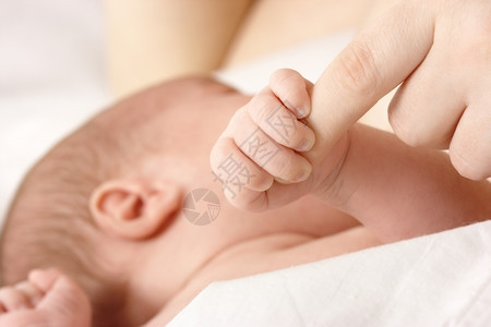 新生婴儿吸母亲的乳房紧抓住她的手指母乳喂养浅度的外劳人们牛奶学步的儿童图片