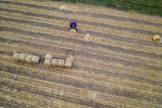 粮食从无人驾驶飞机到拖拉的空中观察在小麦田收割后集大量干草机械农田图片