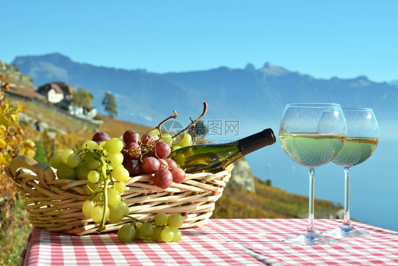 簇玻璃村庄葡萄酒与瑞士拉沃园图片