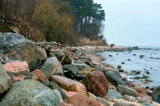 生态伤心步行荒凉海岸的秋季景观岩石海岸荒芜的秋季景观图片