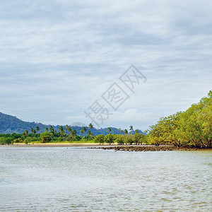 树黄色的美丽泰国风景海地貌有滩和绿棕榈水图片