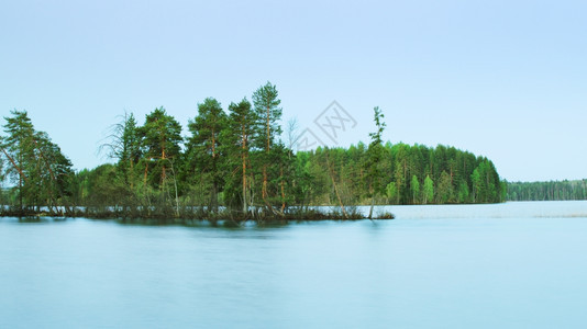 天空反射夏季清晨的森林湖长期接触镜子图片