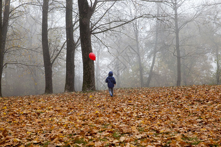 婴儿健康美丽的一个男孩带着红色气球走一个红边在消沉的秋天公园里放松阴暗的天气忧郁心情图片