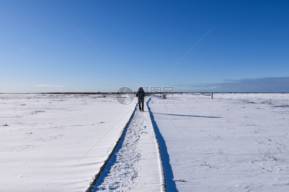 在奥兰德岛的瑞典自然保护区露天冬季风景中走在一条小径上的人冒险积极霜图片
