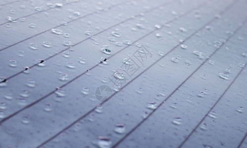 照片雨水和湿度寒冷冬季的地表湿细图下雨抽象的图片