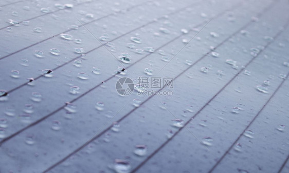 照片雨水和湿度寒冷冬季的地表湿细图下雨抽象的图片