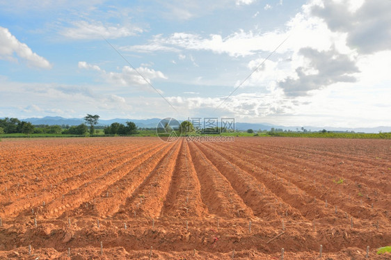 经过犁制作拖拉机造的土壤线有蓝色天空和山地背景泰国农业图片