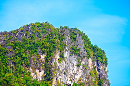 自然泰国Krabi山林绿树旅游图片